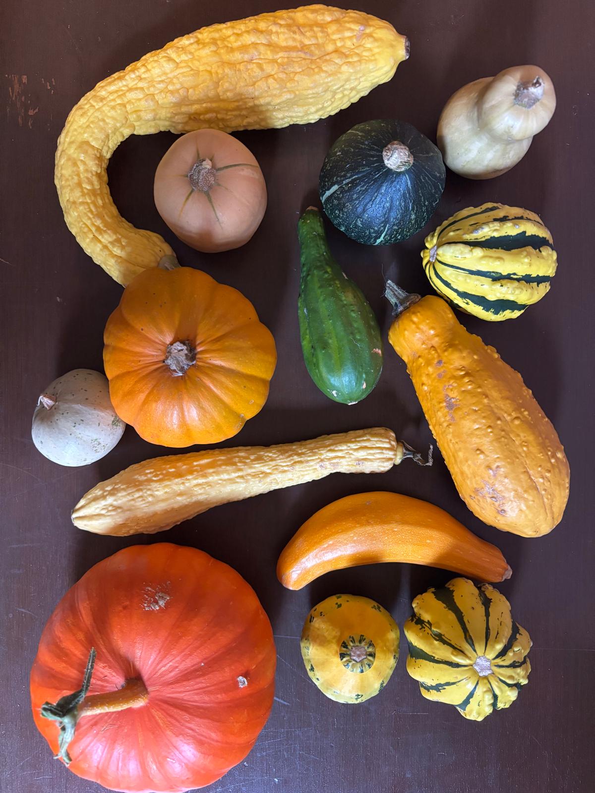 Fresh vegetables harvested by members