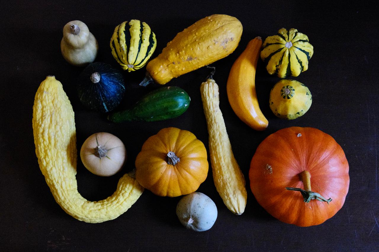 Fresh vegetables from gardens